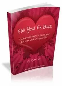 Pull your ex back - Book
